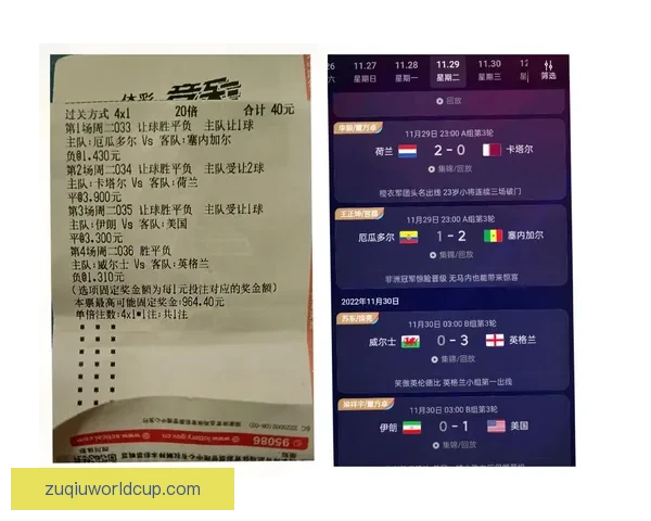 世界杯精彩赛事胜负预测平台全方位解析与即时竞猜体验